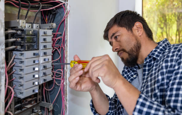 Best Electric Panel Repair  in Bardmoor, FL